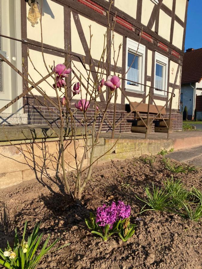 Pferdefairstand'S Ferienwohnung Haunetal Exteriör bild